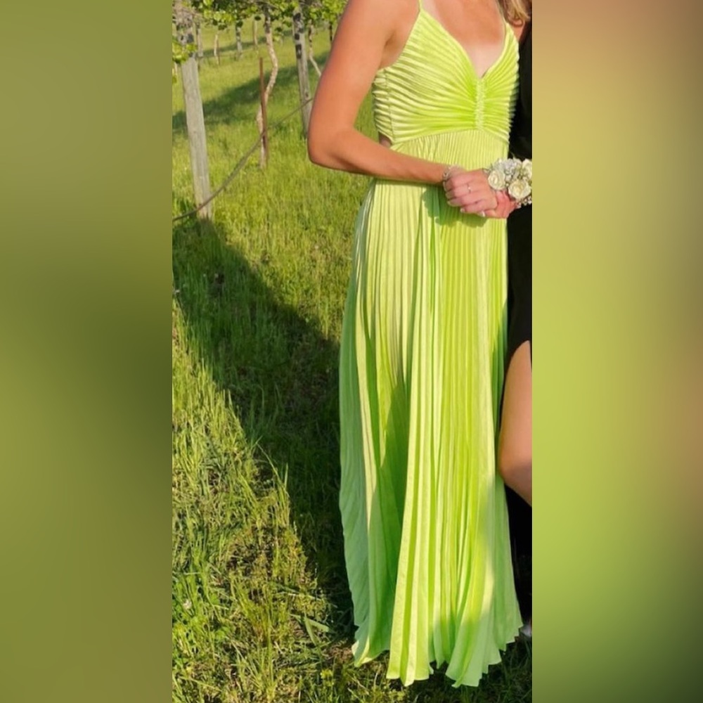 ALC pleated dress